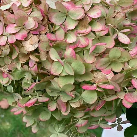 Mitten Im Ruhrgebiet Immer Willkommen, Wlan , Netflix, Parking Free, 100m2 Flat