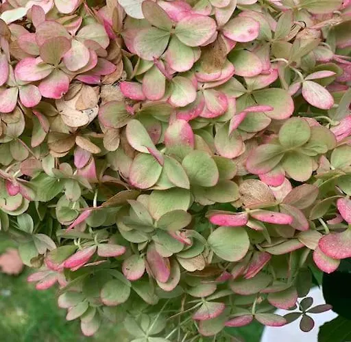 Mitten Im Ruhrgebiet Immer Willkommen, Wlan , Netflix, Parking Free, 100m2 Flat